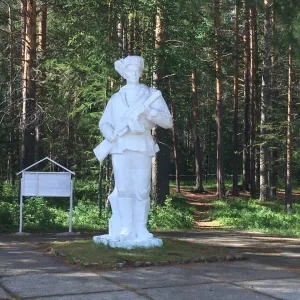 МАУ "ДОЗЛ им. В. Дубинина"