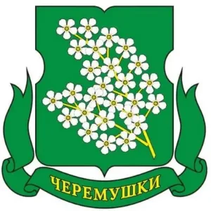 МБДОУ «Детский сад №40 «Черемушки»