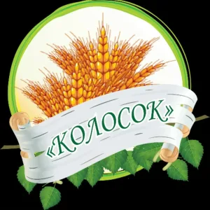 ГБУ ДОО ЗО "АЛЕКСЕЕВСКИЙ ДЕТСКИЙ САД "КОЛОСОК" КУЙБЫШЕВСКОГО РАЙОНА