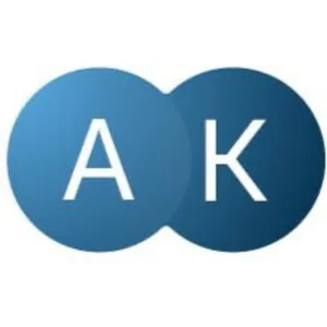 Аудит Картель