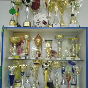 МКУ Вичевский спорткомплекс