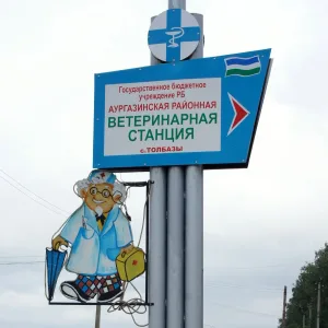 ГБУ Аургазинская районная ветеринарная станция РБ