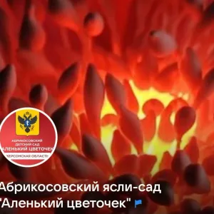 ГБДОУ ХО "Абрикосовкий детский сад "Аленький цветочек" Алешкинского района"