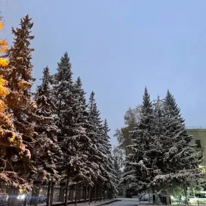 Михайловский сельсовет