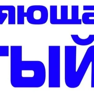 УК Чистый город